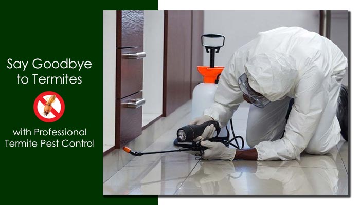 Termite Control
